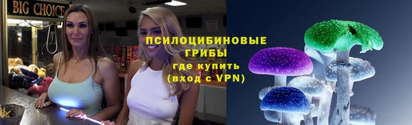 спайс Алексин