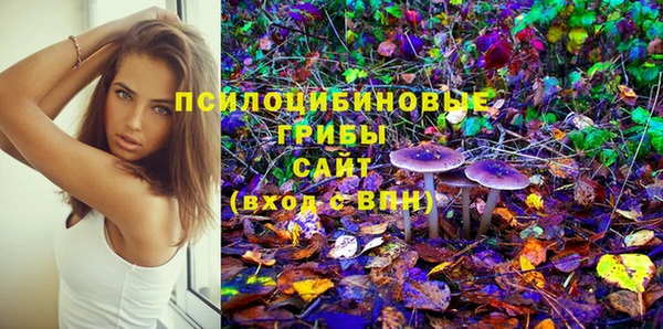 спайс Алексин