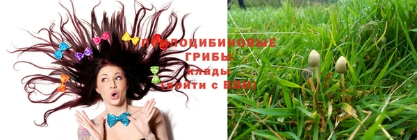 круглые Алзамай