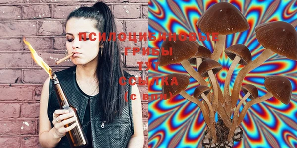 ECSTASY Покачи