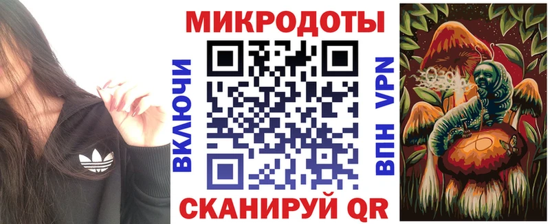 Галлюциногенные грибы Psilocybine cubensis Дегтярск